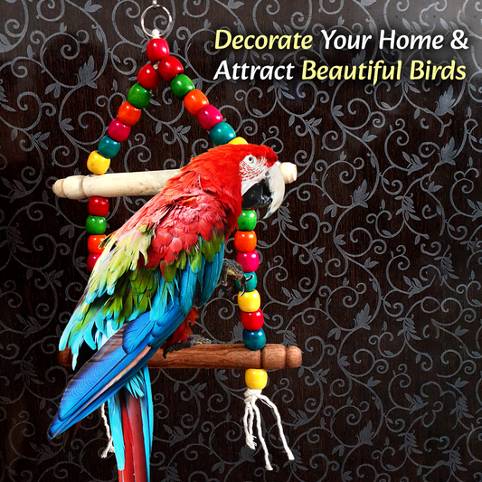 TokyoDo 2-Tier Bird Swing Ladder - Colorful Wooden Perch Toy