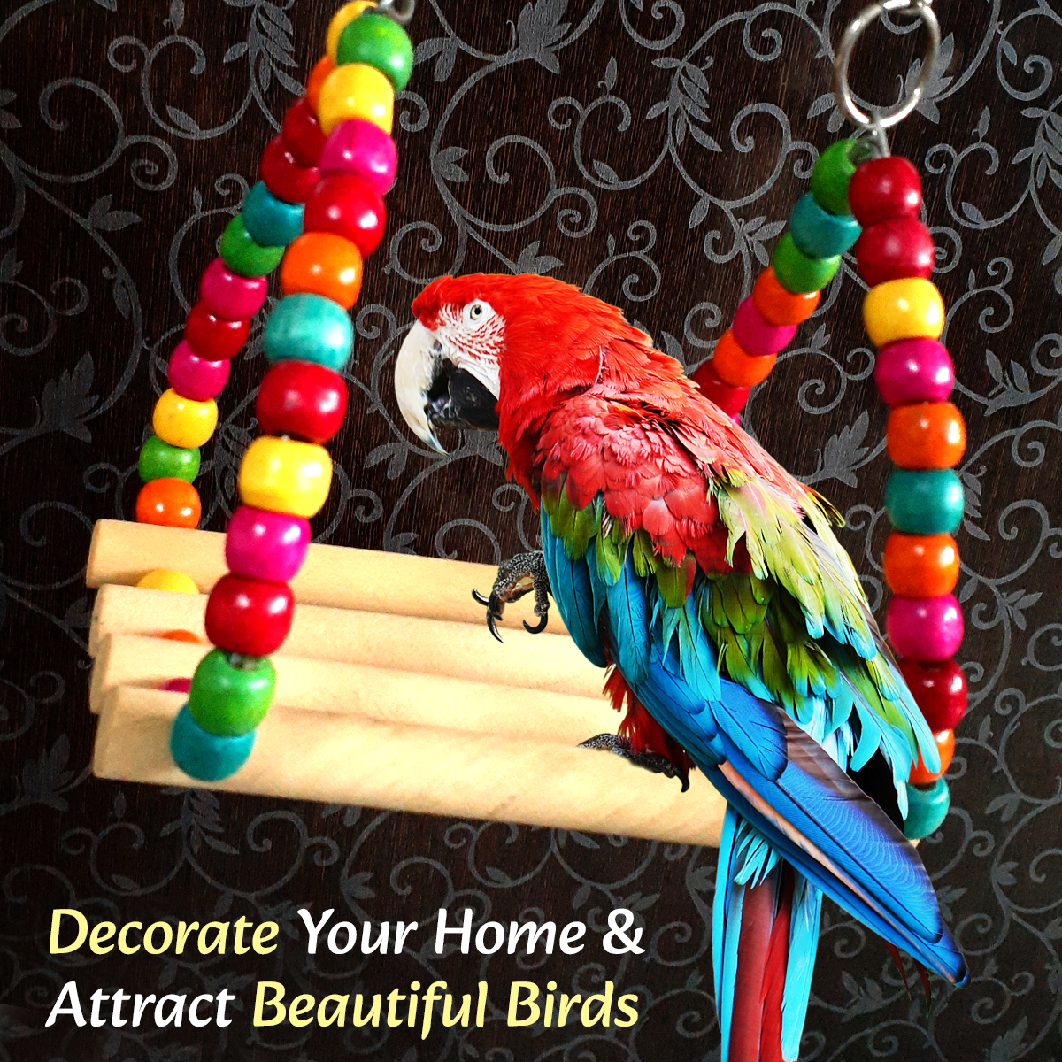 TokyoDo Bird Swing - Colorful Wooden Perch Toy